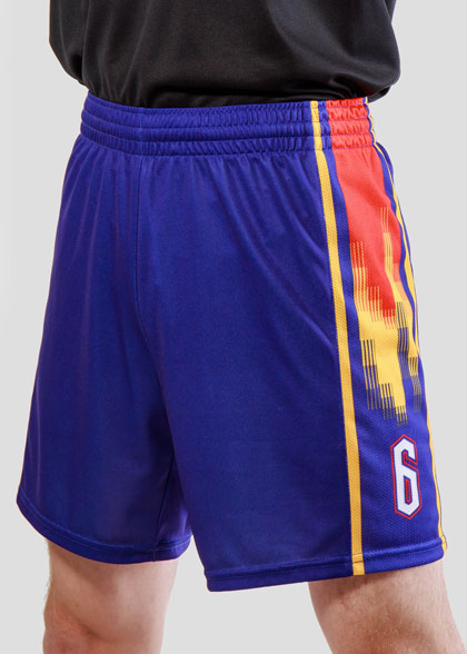 Волейбольные шорты мужские VOL-AMS-01-SUBL