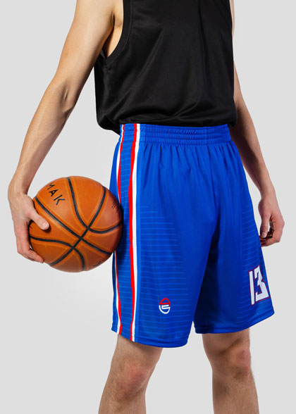 Баскетбольные шорты мужские BSK-AS01-SUBL
