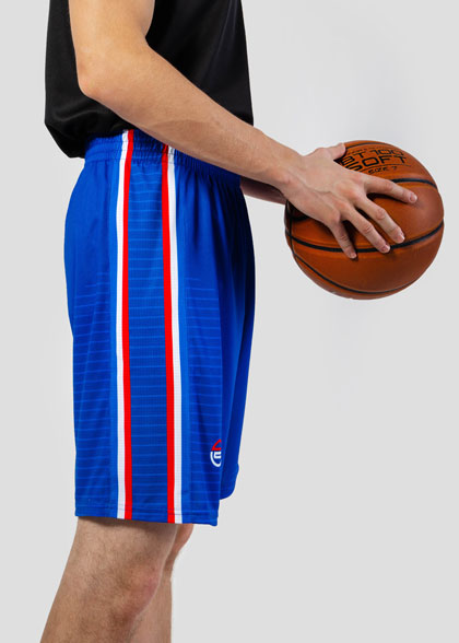 Баскетбольные шорты мужские BSK-AS01-SUBL