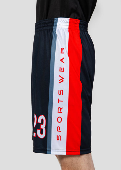 Баскетбольные шорты мужские BSK-AS06-SUBL